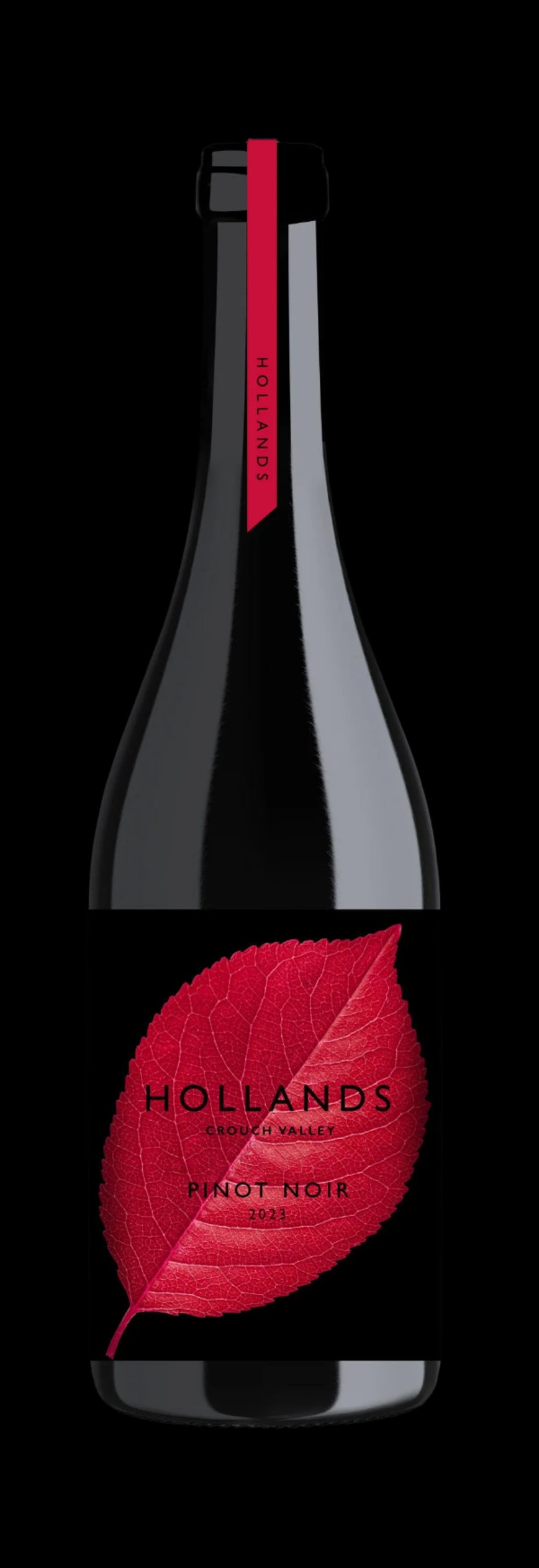 Pinot Noir 2023 Vintage
