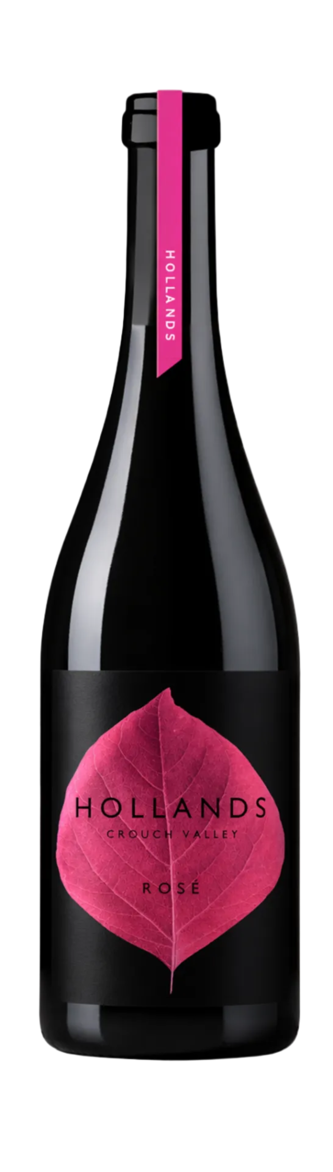 Rosé 2025 Vintage