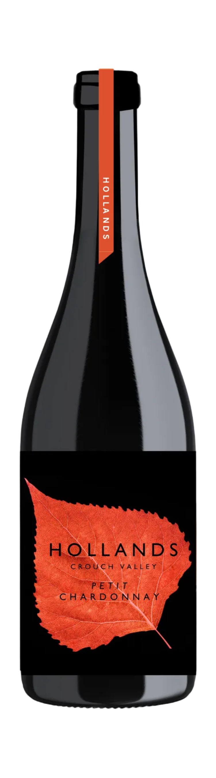 Petit Chardonnay 2025 Vintage