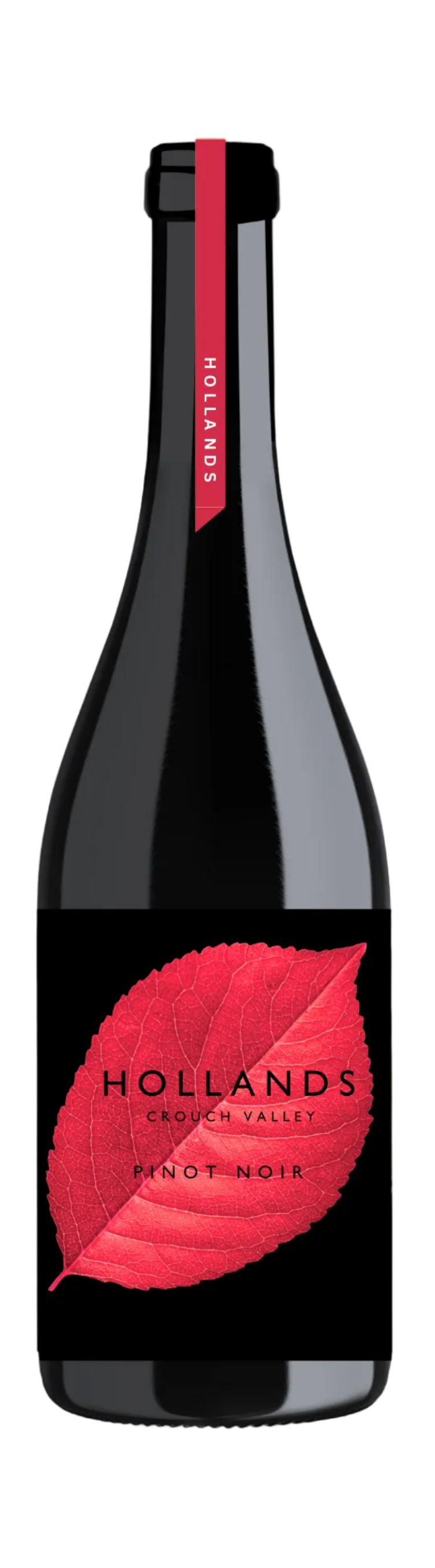 Pinot Noir 2024 Vintage