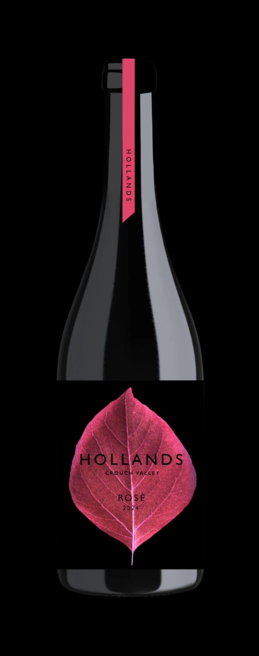 Rosé 2024 Vintage
